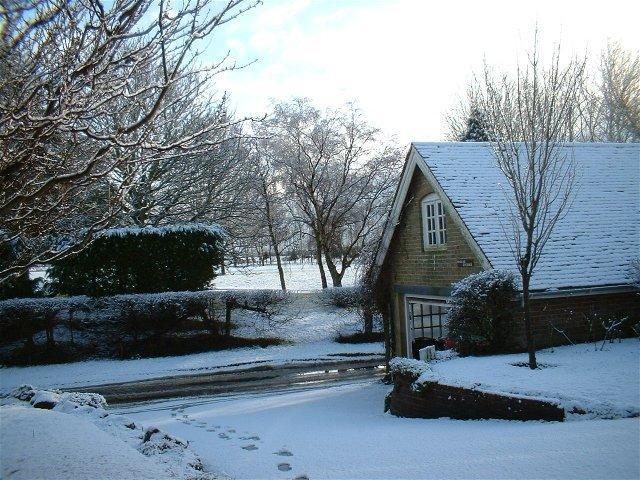 Medlar Cottage Arundel Bagian luar foto